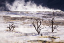MAMMOTH HOT SPRINGS